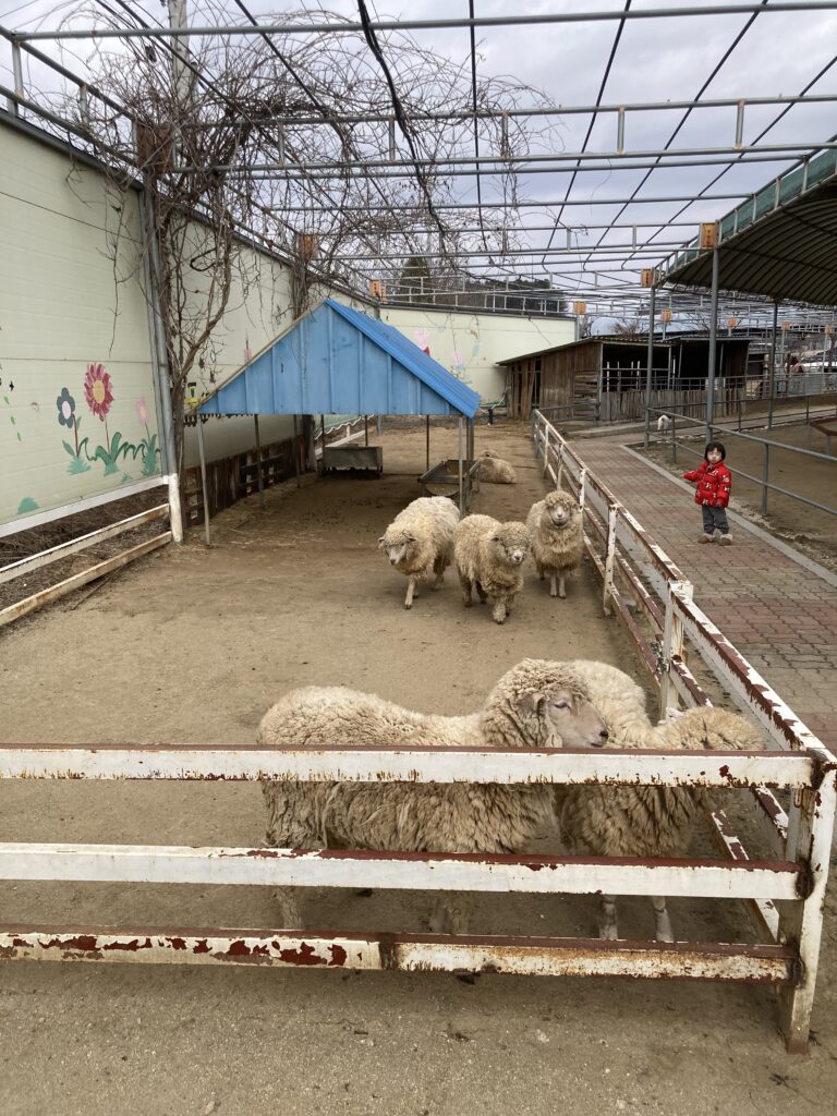 홍천 동키 마을